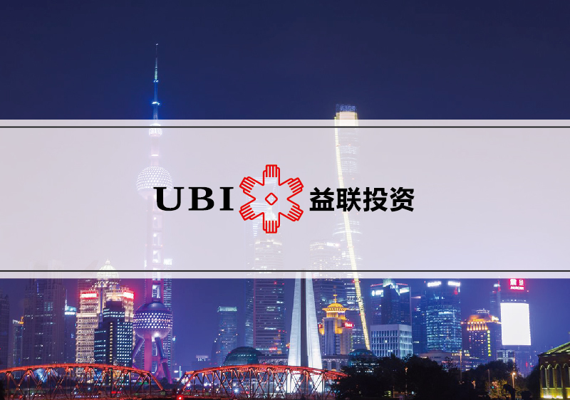 金融投資企業(yè)VI設計-金融投資公司標志設計-金融投資樣本畫冊設計-上海奧韻廣告專業(yè)品牌策略機構